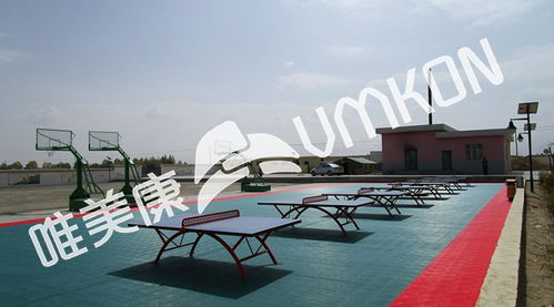 標(biāo)準(zhǔn)乒乓球場場地尺寸與戶外運動策劃指南