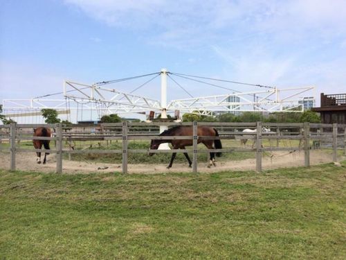 上海灣首屆戶外運(yùn)動(dòng)節(jié)暨2023海灣紅葉節(jié)周邊游玩攻略